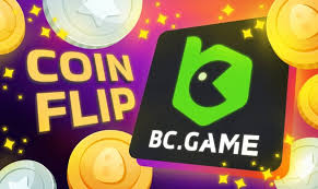 Découvrez l'Application Bcgame  Votre Pass vers l'Univers du Jeu en Ligne