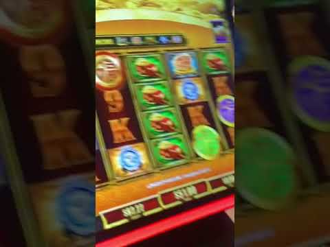 Dostawca gier kasynowych online