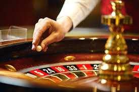 Best Live Roulette Sites Discover Your Perfect Gaming Experience