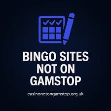 Understanding What Bingo Sites Are Not Separating Facts from Myths