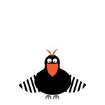 bird11