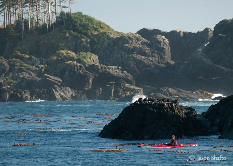 Kayaking off Haida Gwaii. *Photo: Jason Shafto