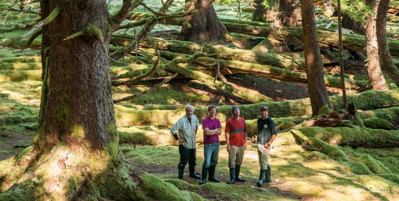 Deep forest on Gwai . * Photo: Jason Shafto
