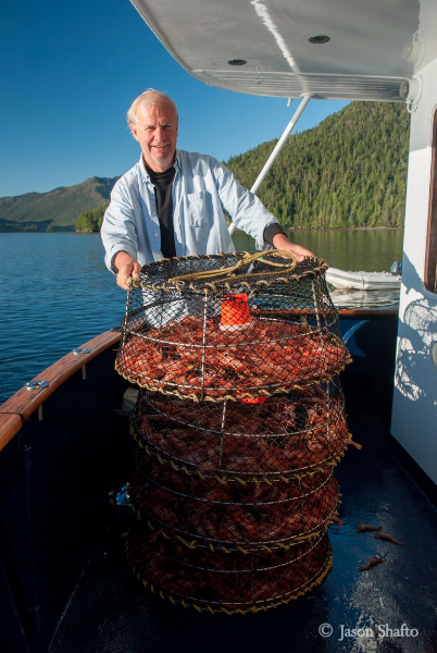A haul of fresh prawns. *Photo: