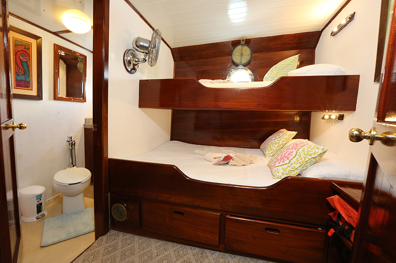Quirky Island Windjammers Theme Cruises