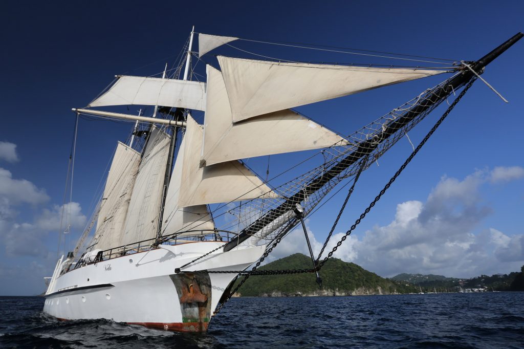 Quirky Island Windjammers Theme Cruises