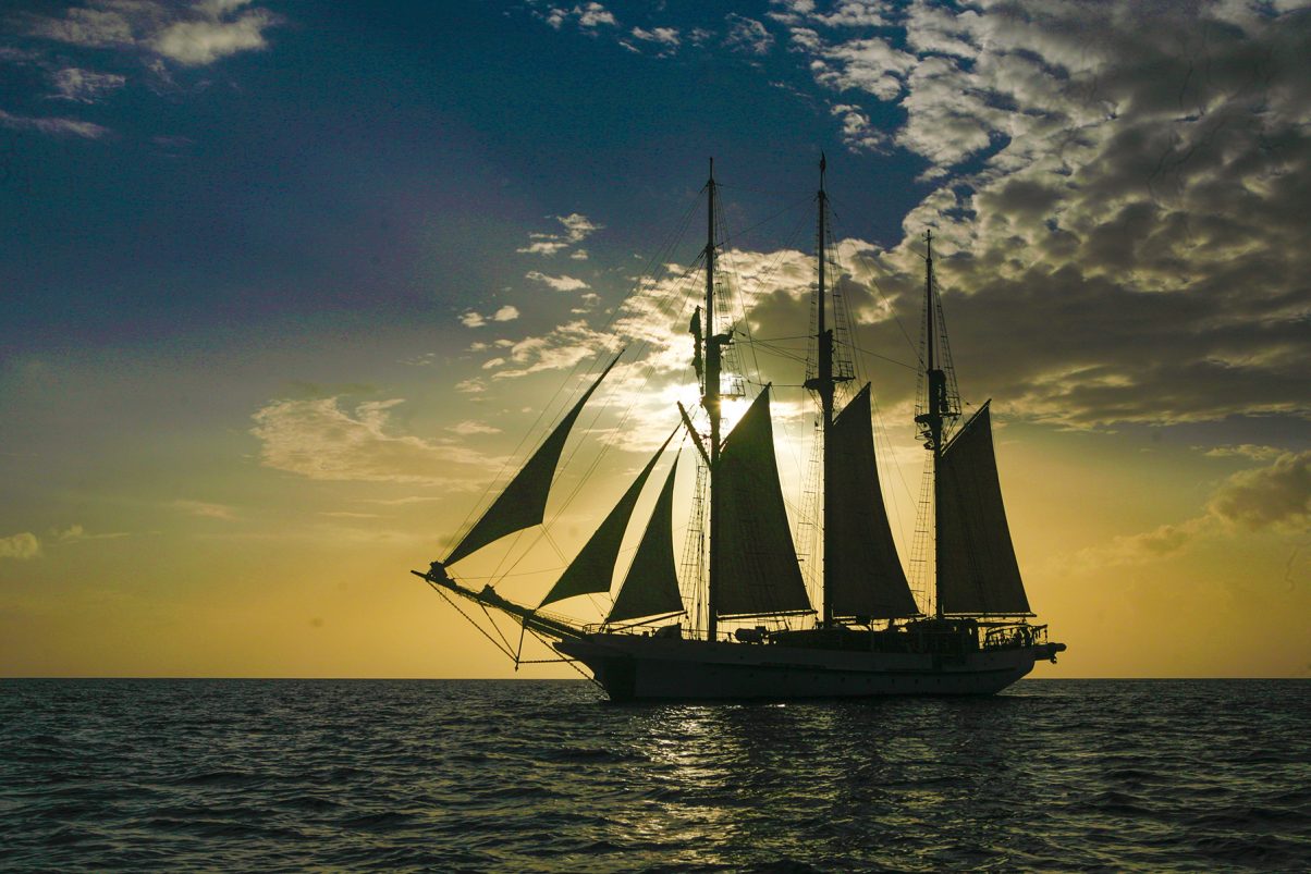 Quirky Island Windjammers Theme Cruises